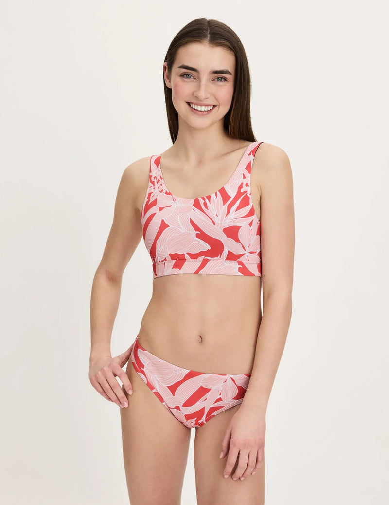 | Pink Hibiscus