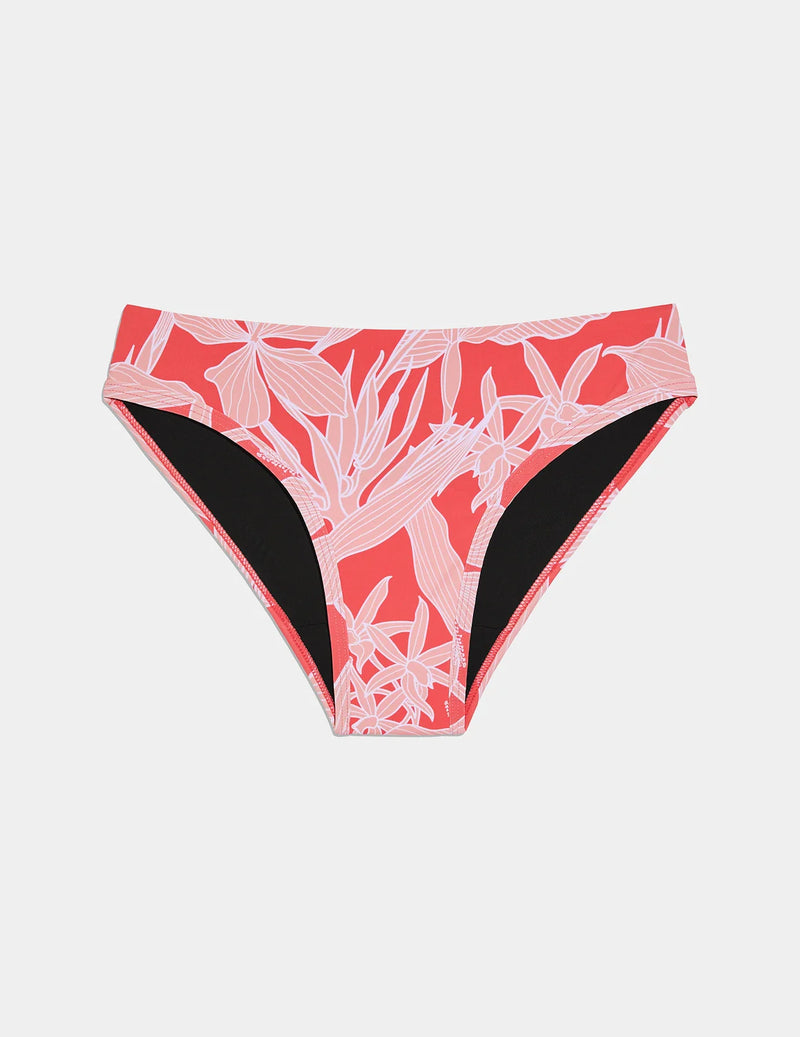 | Pink Hibiscus