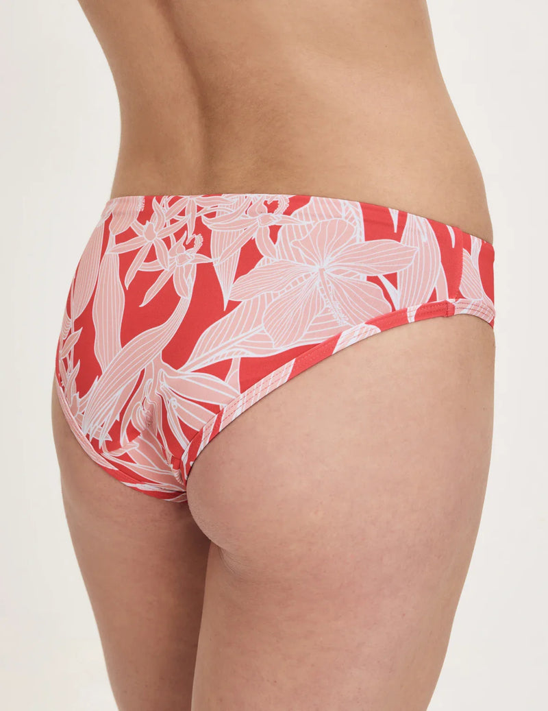 | Pink Hibiscus